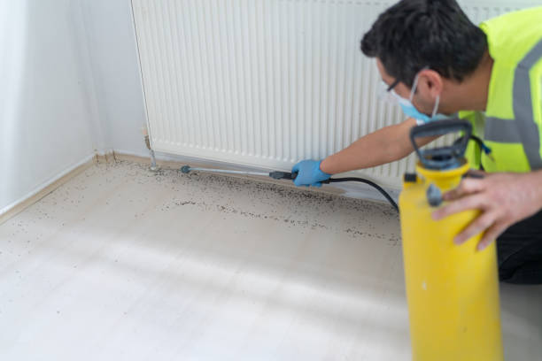 Pest Prevention Services in Conashaugh Lakes, PA